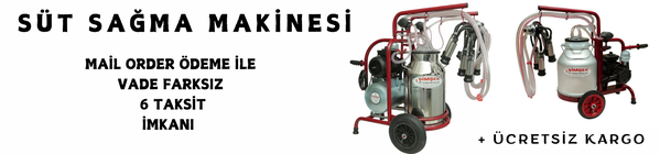 SÜT SAĞIM 